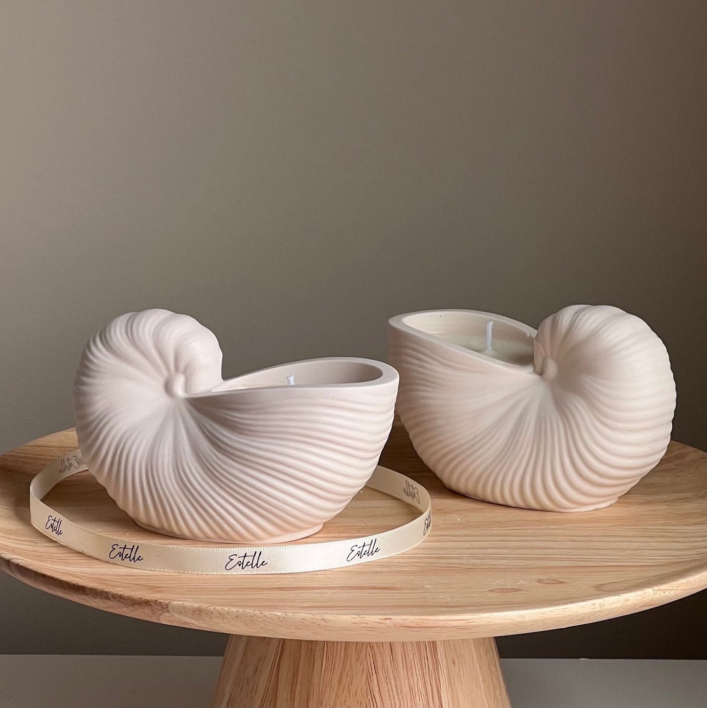 Sea Shell Container Soy Wax Candle - Where Did You Get That!?